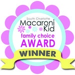 Charlotte's Best Nanny Agency